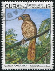 stamp
