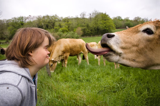 Jeune fille trisomique regardant une vache
