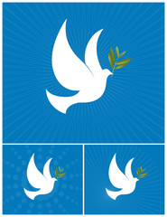 The Dove of Peace - White dove with a olive branch.