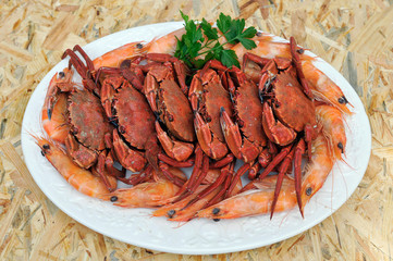 velvet swimming crab, necora