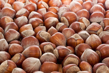 hazelnut