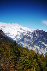 Obraz premium spring alps