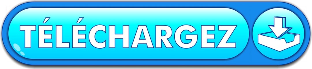 bouton téléchargez
