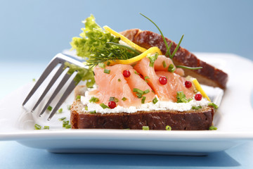 Tasty sandwich with salmon