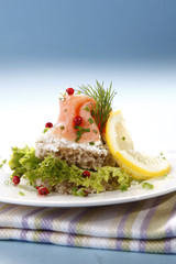 Tasty sandwich with salmon