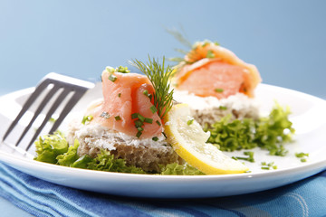 Tasty sandwich with salmon