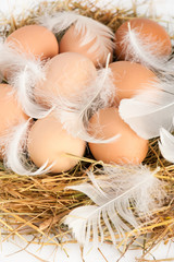 Macro of brown eggs and feathers at hay. Shallow depth of field