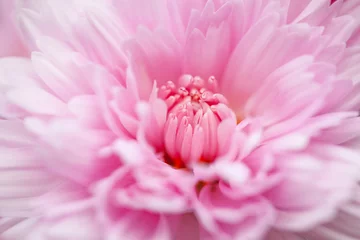 Foto auf Acrylglas Blume(a)_053 © sea-walker