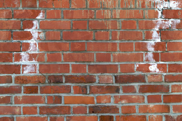 Feuchte Backsteinmauer