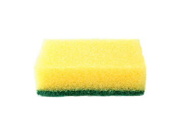 kitchen sponge