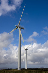 Fototapeta premium renewable energy, wind turbine
