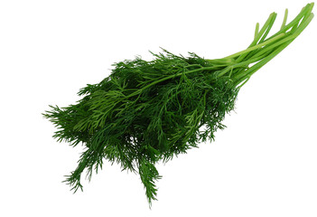 Green fresh dill isolated on white