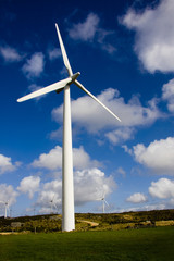Fototapeta premium renewable energy, wind turbine