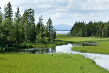 Маленькая речка, впадающая в болшое озеро. © mvi690