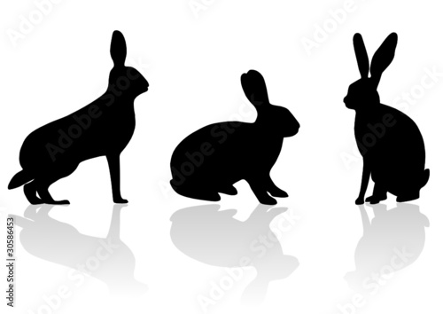 "silhouette von hasen" Stockfotos und lizenzfreie Vektoren auf Fotolia