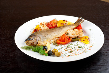 trout fish