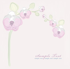Floral pink orchid background