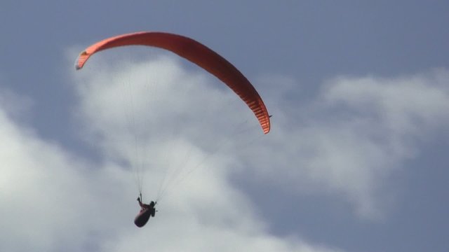 Paragleiter