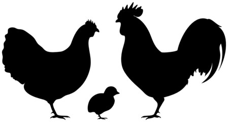 Rooster, Hen & Chick Black