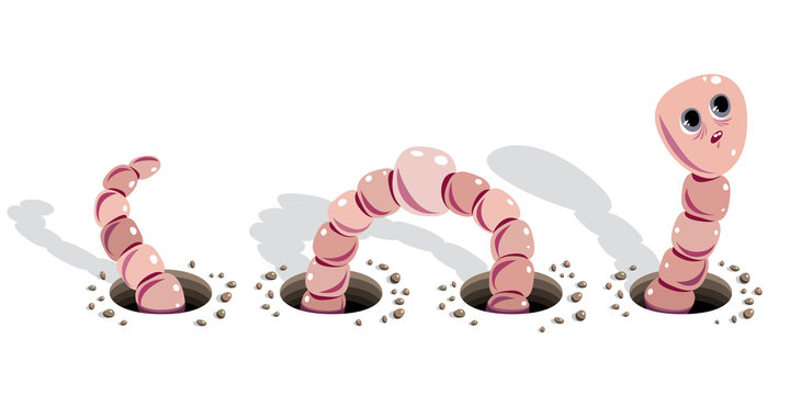 Worm doing holes cartoon illustration.