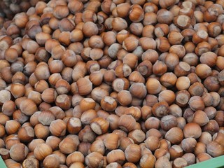 Hazel nuts