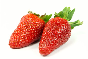 Erdbeere
