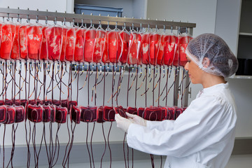 Untersuchung vom Spenderblut im Blutlabor