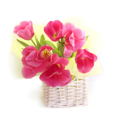 букет розовых тюльпанов