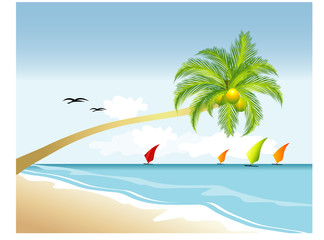 Fototapeta na wymiar Tropical beach, vector illustration