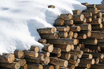 stacks of logs cut by loggers in the snow in the mountains