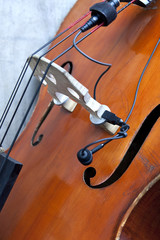 contrebasse, musique, jazz, instrument à corde, concert