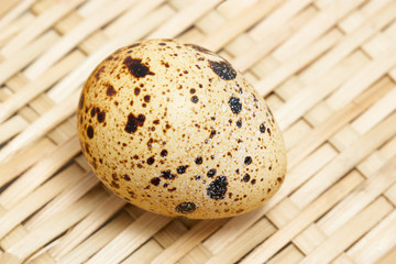 Quail egg