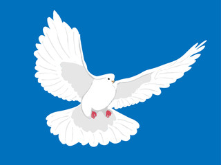 Colomba nel cielo