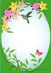 vector illustration with flowers and colibri