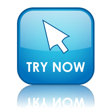 TRY NOW Web Button (free trial offers internet specials sale go)