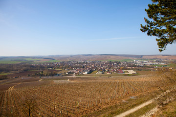 Obraz premium paysage viticole chablis