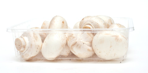 champignons in a plastic box