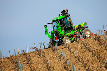 paysage viticole chablis