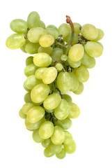 Grappe de raisin blanc