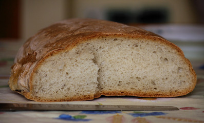 Pane