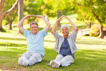 Fototapeta premium Elderly couple doing their stretches in the park