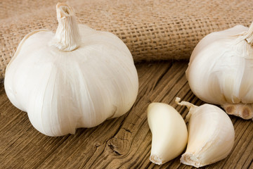 Garlic
