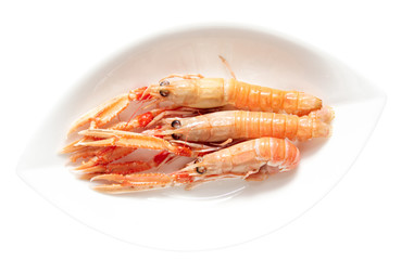 Three langoustines in porcelain plate