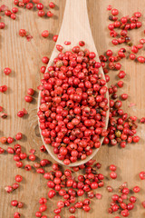 Pink Peppercorn (Schinus molle) on wooden spoon © anna.q