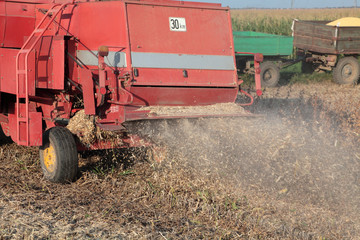 Soy bean harvesting with combine