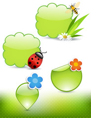 Spring design elements: honeybee, ladybug, flowers and labels