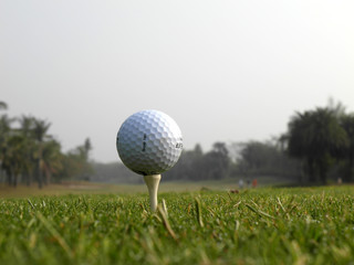 balle de golf sur un tee de départ