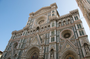 Fototapeta premium Florence24