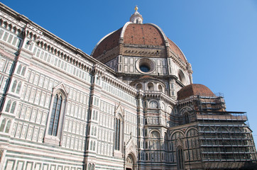 Florence29