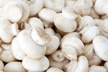 Champignons